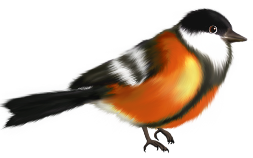 őszi állatok_84.png